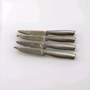 JA Henckel Modernist 4.5" Set Of 4 Steak Knife  German Stainless Steel 17519-120